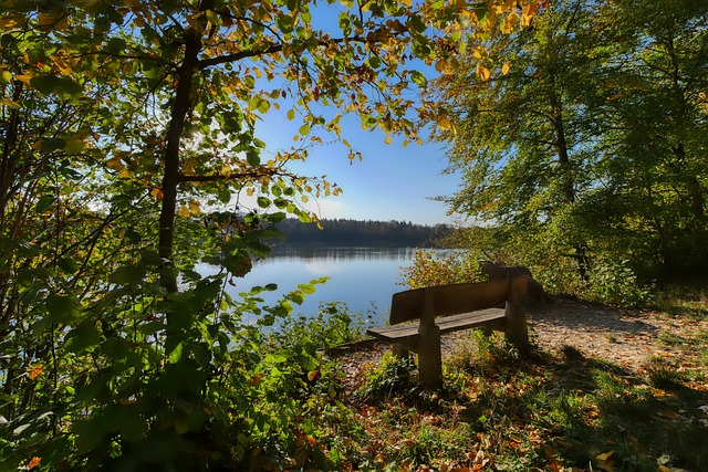 只為洛佩特 只為洛佩特