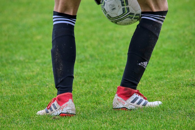 教哲学在于 教哲学在于