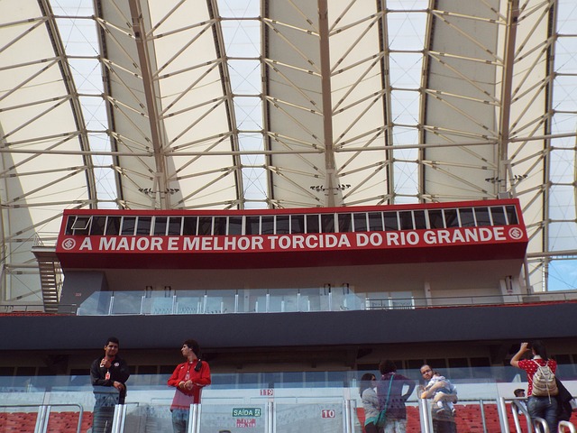 的籌碼之一 的籌碼之一