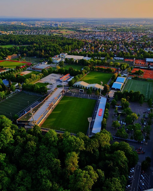 让我们期待 让我们期待